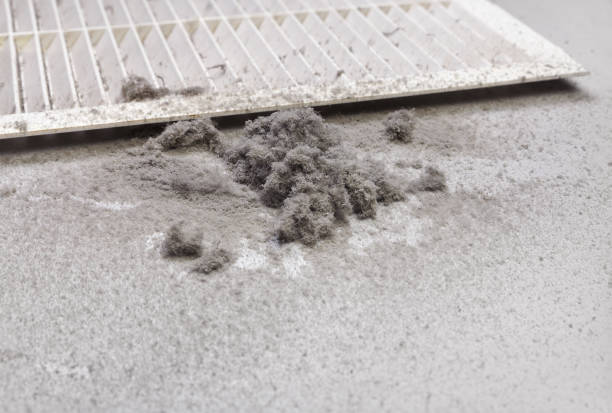 Best Air Duct Mold Removal  in East Falmouth, MA