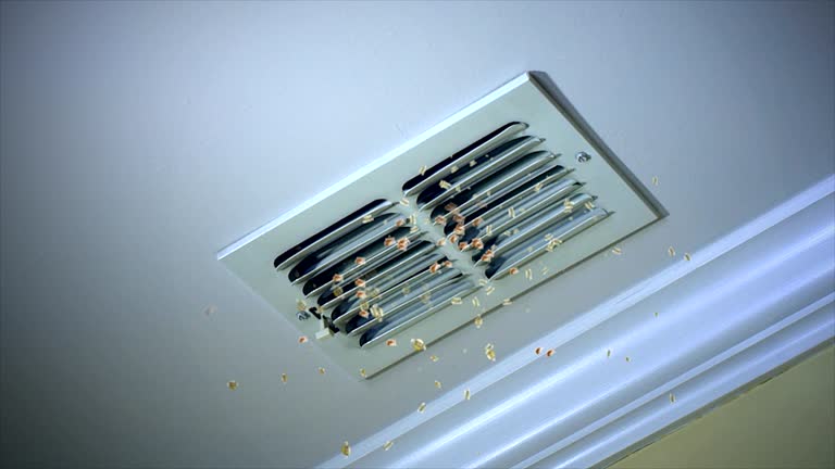 Air Duct Mold Removal in East Falmouth, MA