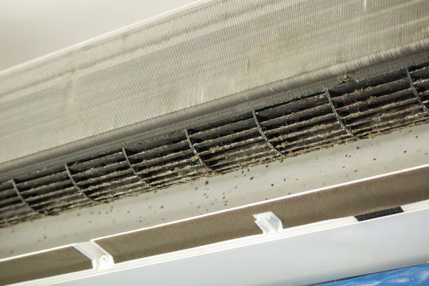 Best Local Air Duct Cleaning Services  in East Falmouth, MA